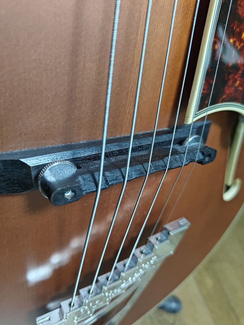 D'Angelico　ディアンジェリコ　Premier EXL-1 フルアコ