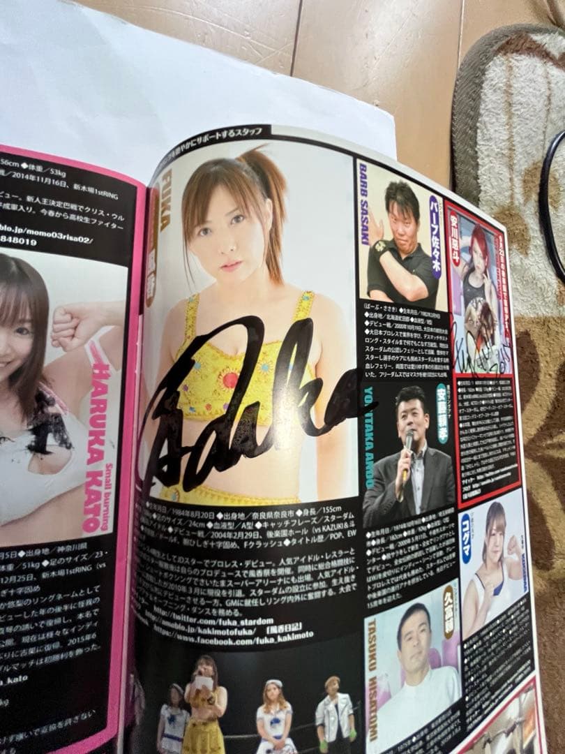 スターダム観戦ガイドブック 紫雷イオ、岩谷麻優、サンダーロック