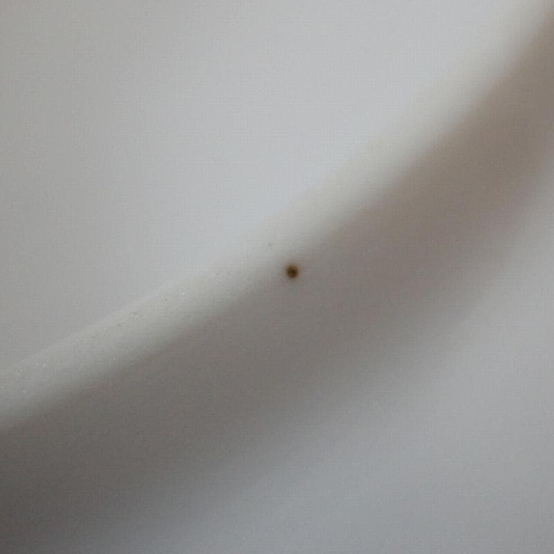 RU-5093　ロイヤルコペンハーゲン　イヤープレート　1924年