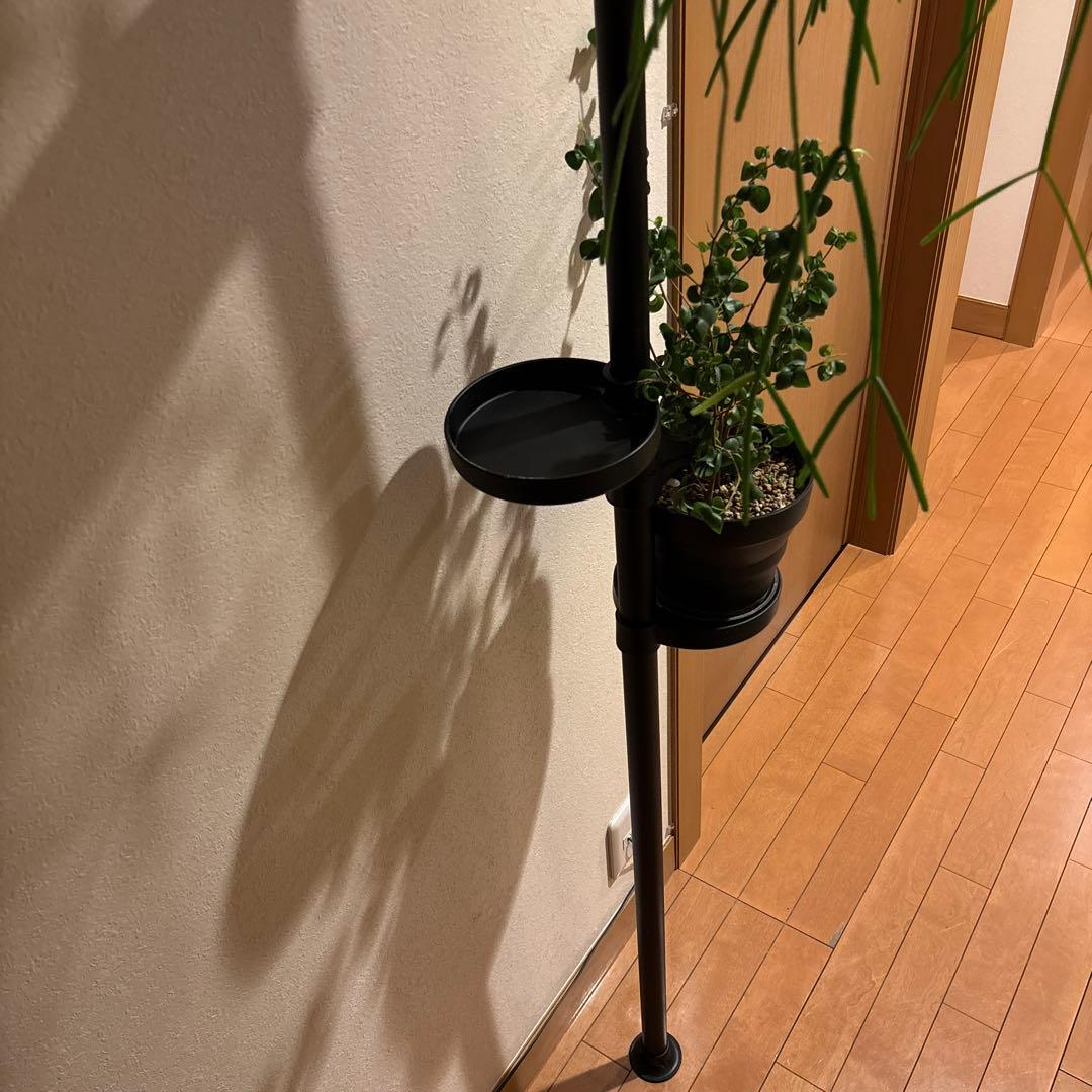 観葉植物 突っ張りポール 鉢2点 合計3点セット 240センチ前後 新品未使用品
