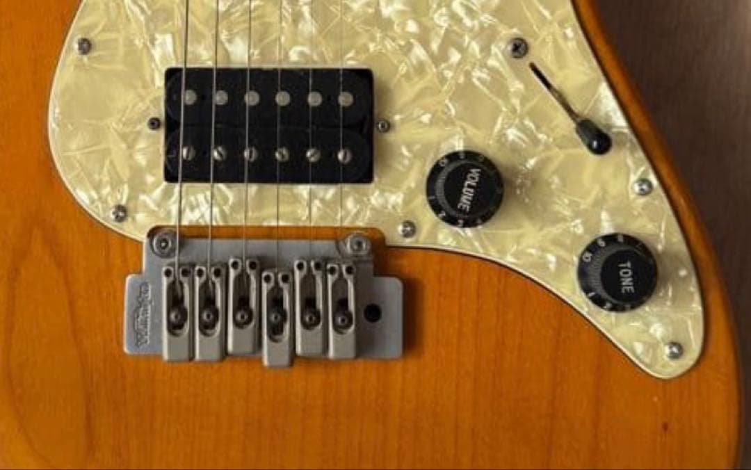 Chatting Bird Stratocaster エレキギター - メルカリ