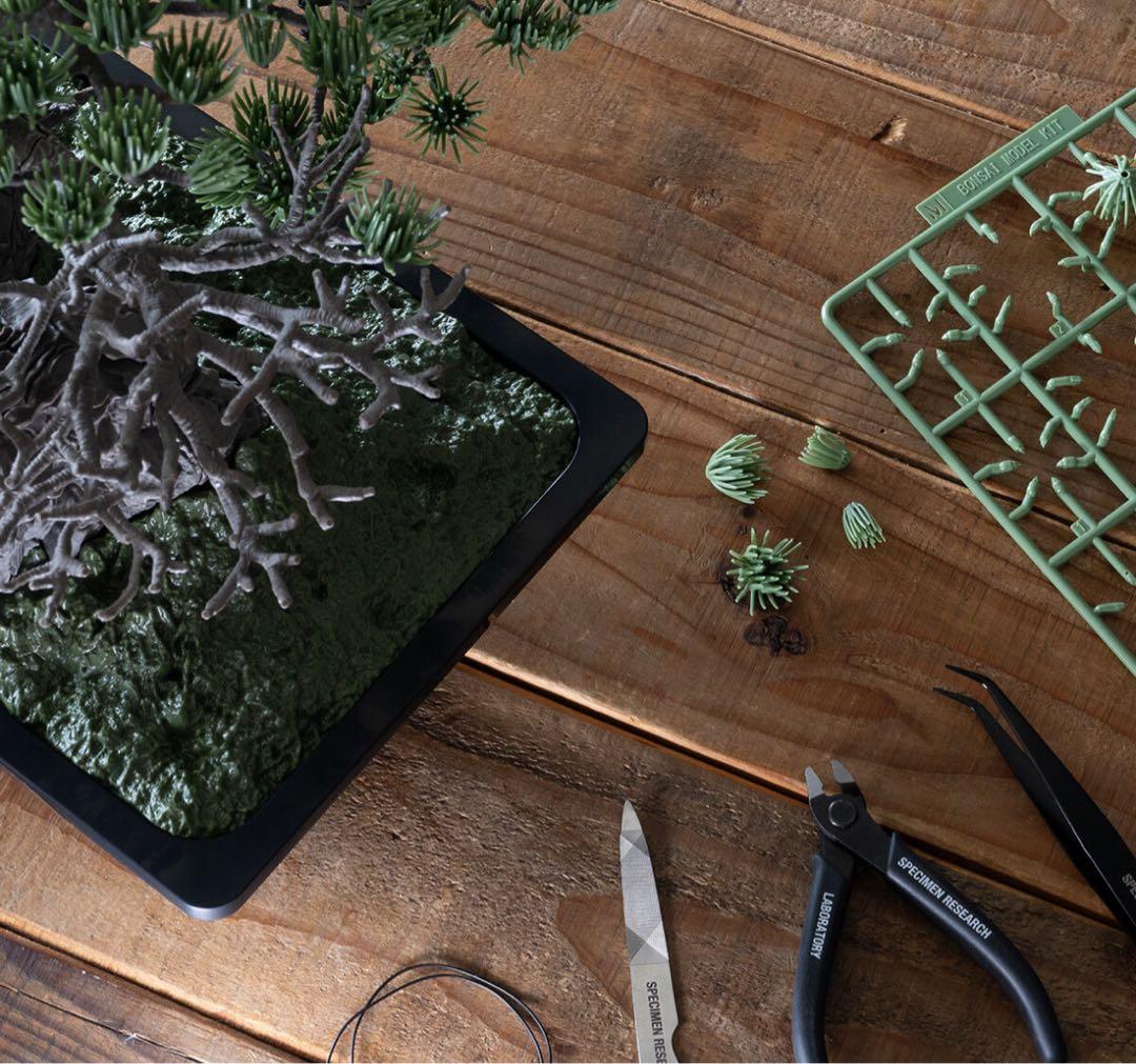盆栽 Bonsai Model Kit SRL x Bandai Spirits