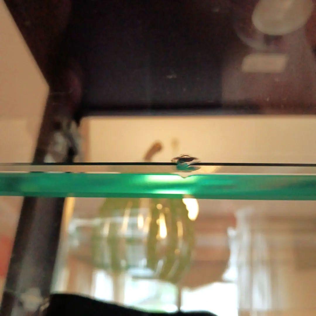 照明付き ガラスキャビネット コレクションケース キュリオケース　キュリオ59