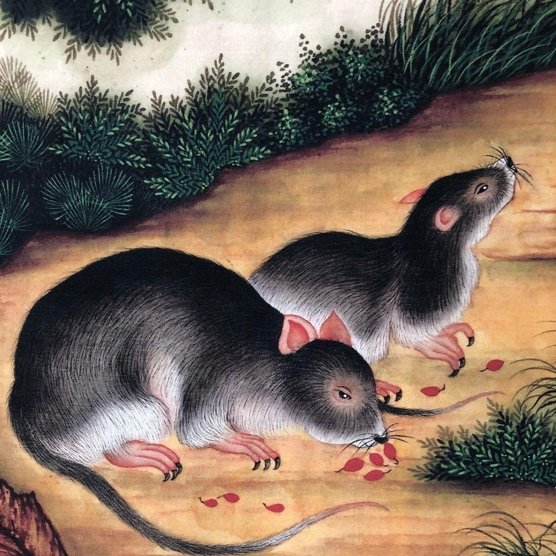 郎世寧 十二生肖・子（鼠） 鼠図 三尺中堂 掛軸 174×77cm 鑑賞用