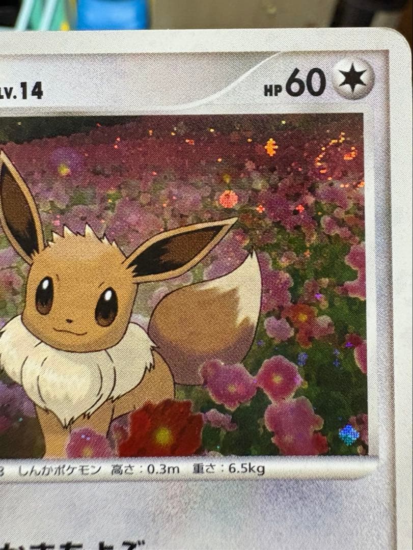 ぴ*か様 希少 イーブイ 063/DP-P プロモ とりかえっこ　うずまきホロ