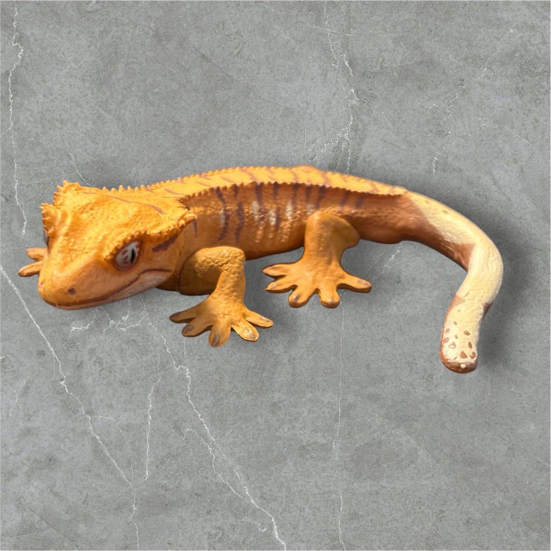 海洋堂カプセルQミュージアム ヤモリ大全 クレステッドゲッコー - メルカリ