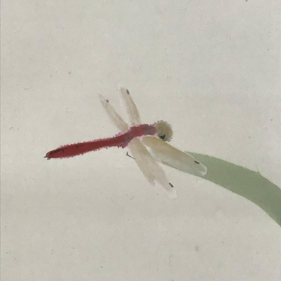 真作/長野草風/トウモロコシにトンボ/蜀黍/夏秋/掛軸/名家伝来/AK-449