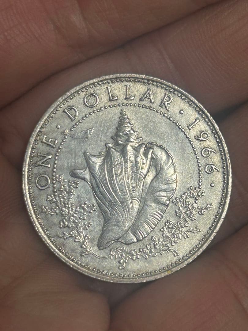 銀貨　バハマ　1966年 1ドル　コンク貝（ホラ貝）がデザイン　18.14g