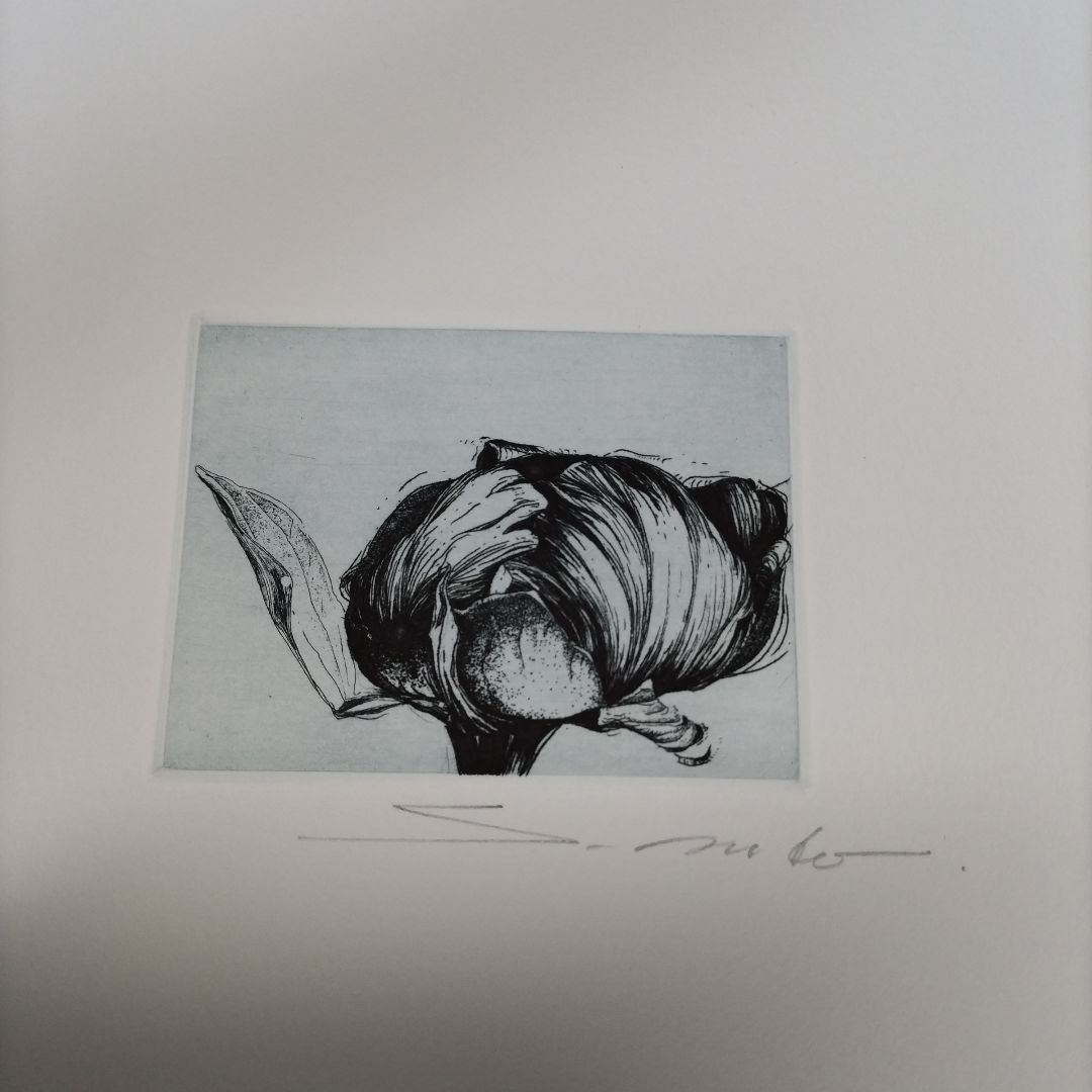 東京藝術大学 アトリエC-126 版画カレンダー1996年版 限定350部 - メルカリ