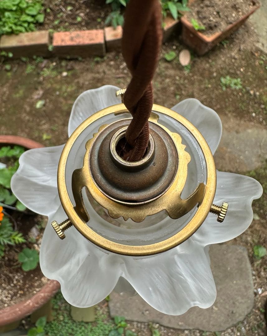 ＊キャサリンページになります＊