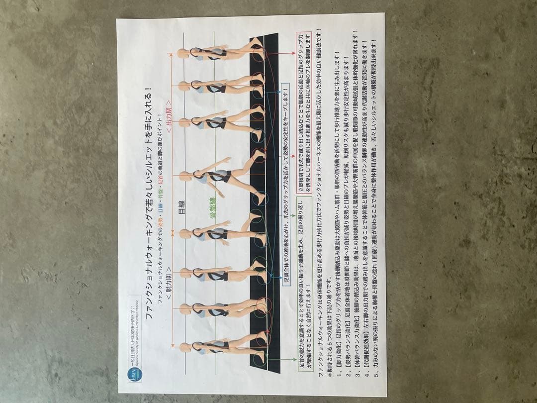 ファンクショナルハーネス