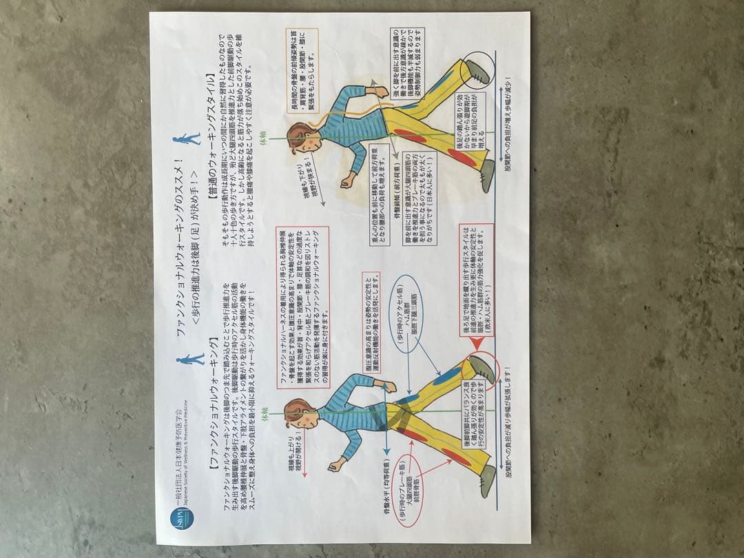 ファンクショナルハーネス