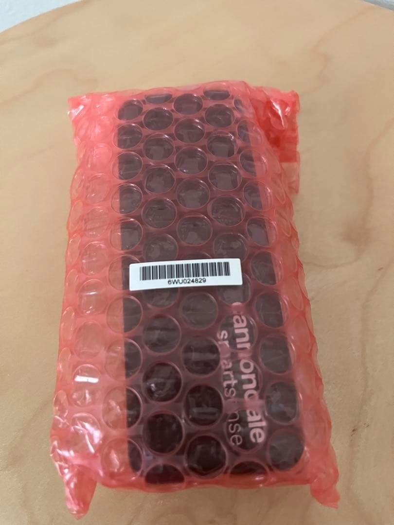 ロシア民話 民謡絵葉集 ユーリー アレクセーエヴィッチ ワスネツォフ