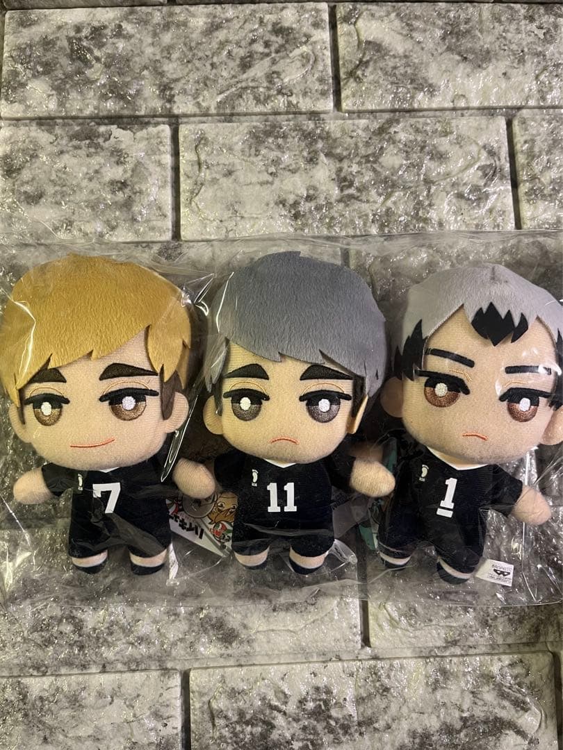 ハイキュー‼︎ ともぬい コンプ セット 18種 烏野 稲荷崎 青葉城西 梟