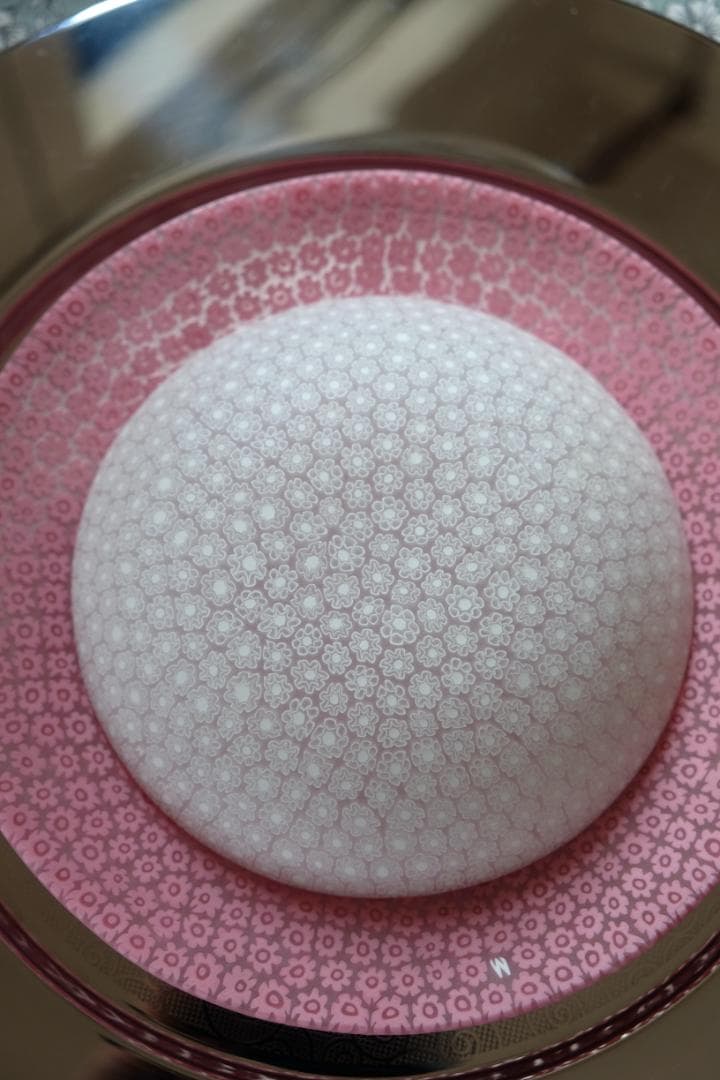 ミルフィオリ エルコーレモレッティ プレート 作家 黒木国昭/藤田喬平/田子美紀