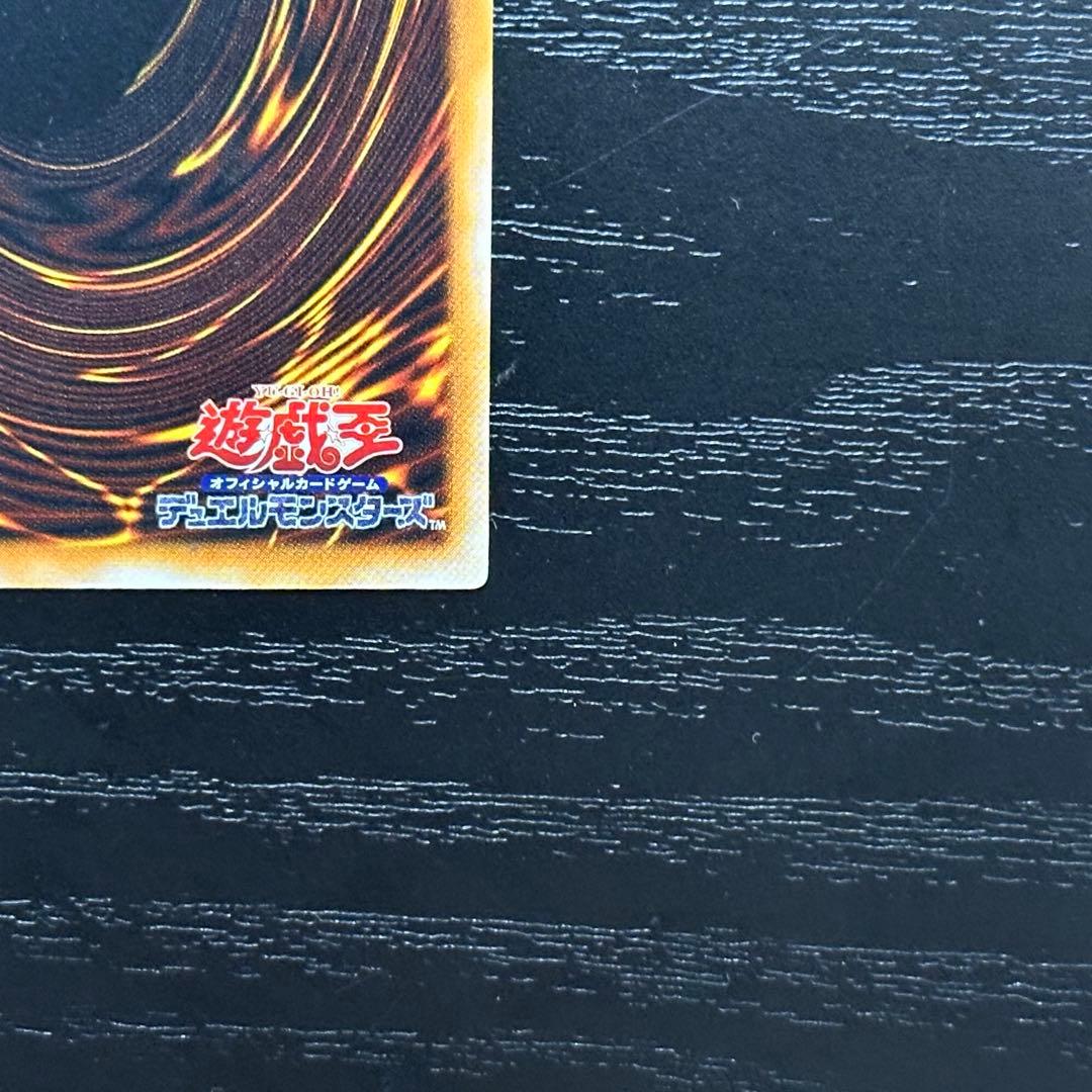 遊戯王 ダークネクロフィア レリーフ