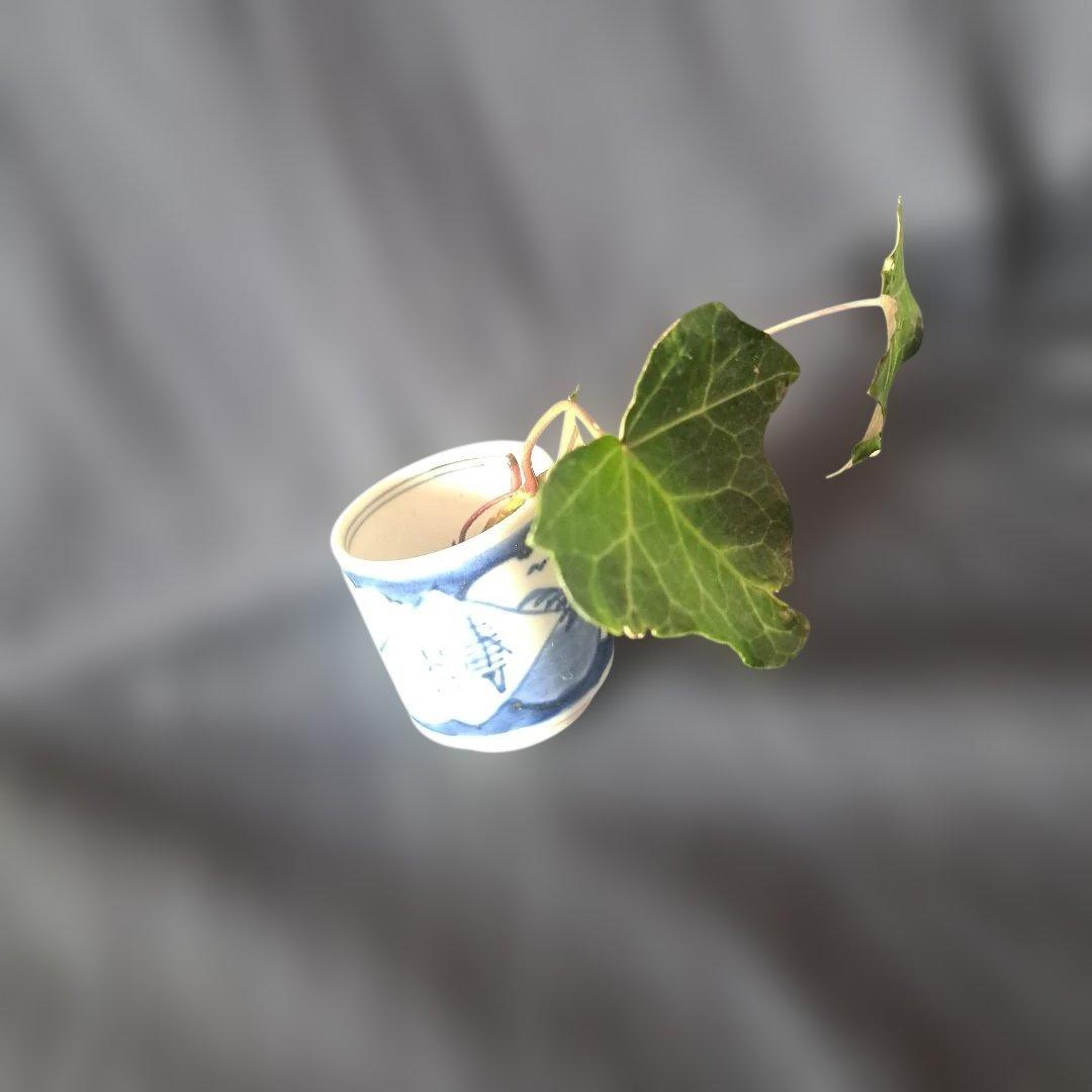 「かわいい のぞき猪口」 古伊万里猪口(直径4.5～5cm) 2客セット 骨董ア