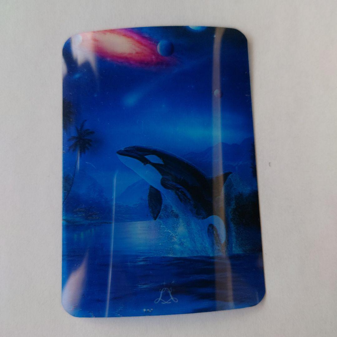 Christian Riese Lassen クリスチャンラッセン クリアカード - メルカリ