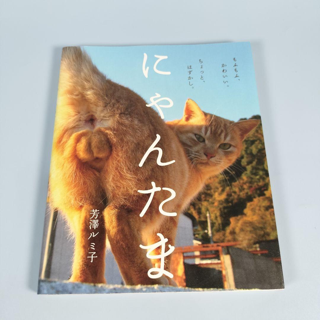 にゃんたま h709b - メルカリ