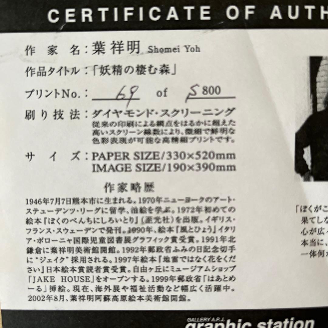 葉祥明「妖精の棲む森」版画リトグラフ