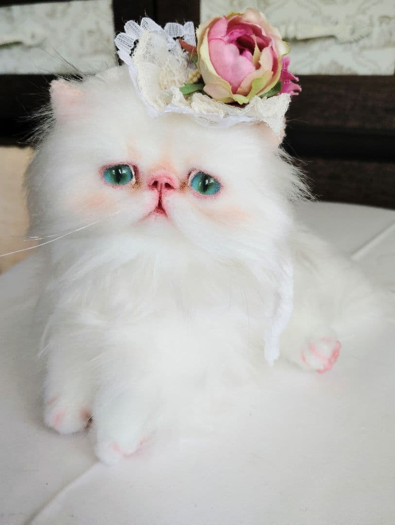 生後3ヶ月♡子猫ちゃん♡綺麗なオメメの美人さん♡アートドール♡ぬいぐるみ♡