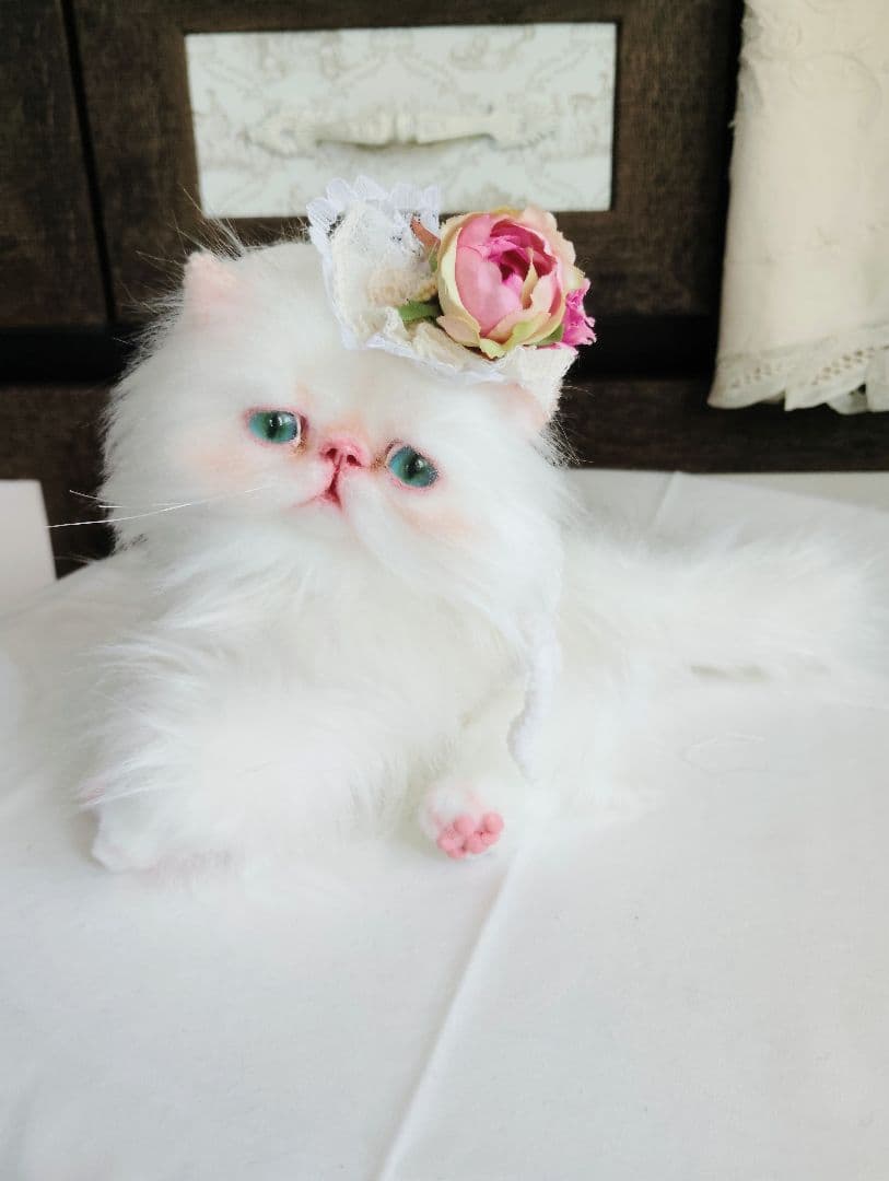 生後3ヶ月♡子猫ちゃん♡綺麗なオメメの美人さん♡アートドール♡ぬいぐるみ♡