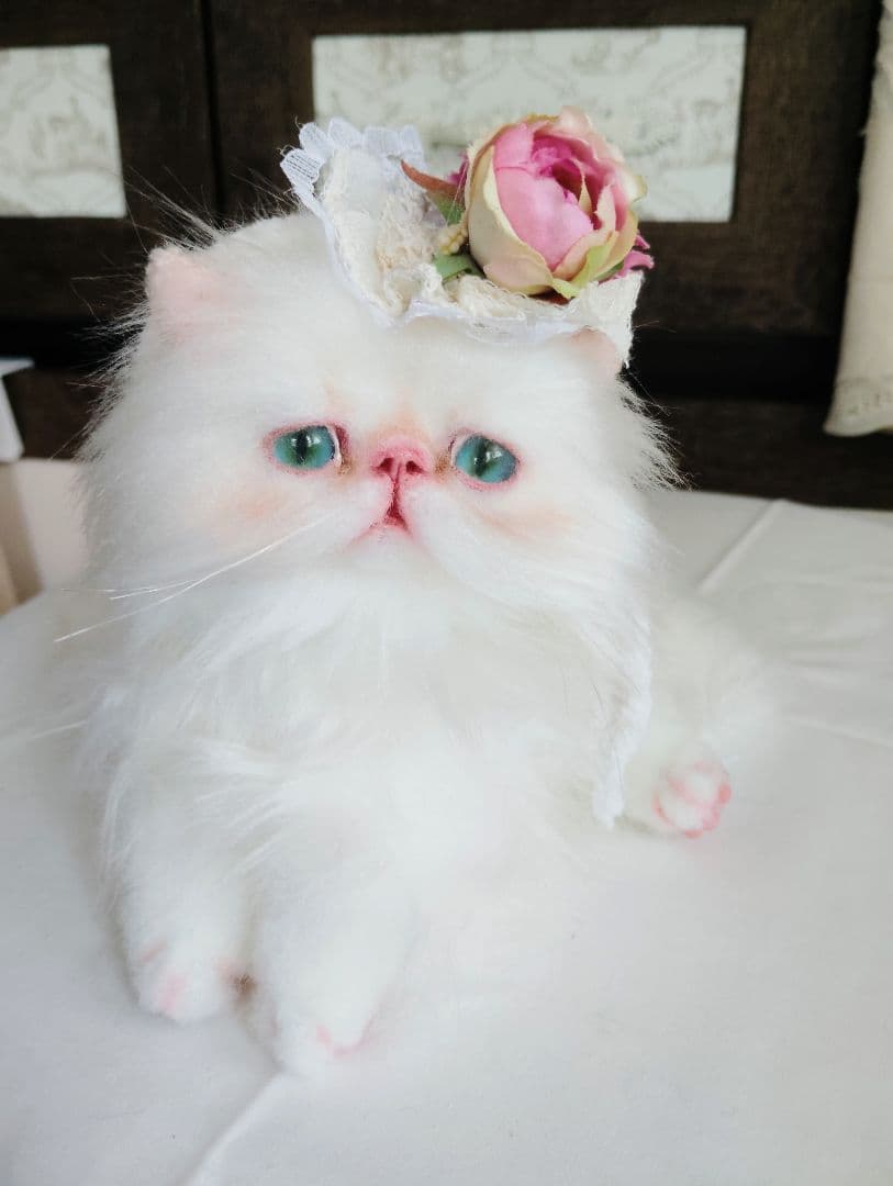 生後3ヶ月♡子猫ちゃん♡綺麗なオメメの美人さん♡アートドール♡ぬいぐるみ♡