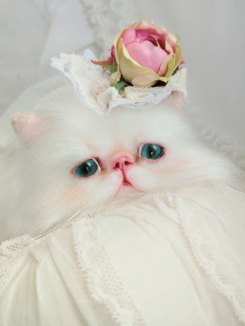 生後3ヶ月♡子猫ちゃん♡綺麗なオメメの美人さん♡アートドール♡ぬいぐるみ♡