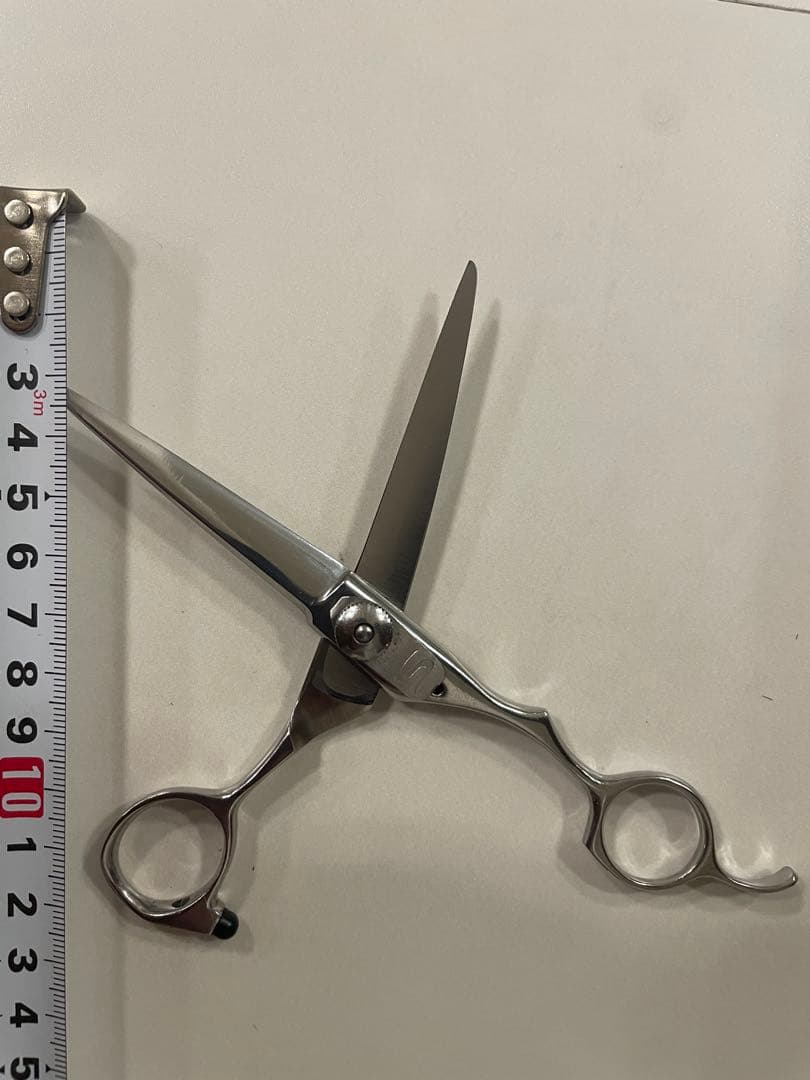 セヴァスチャン(ウェラ)シザー