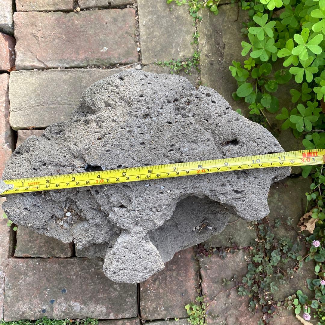 溶岩石　高15-17cm 庭石　鑑賞　アクアリウム　ガーデニング　置物　オブジェ