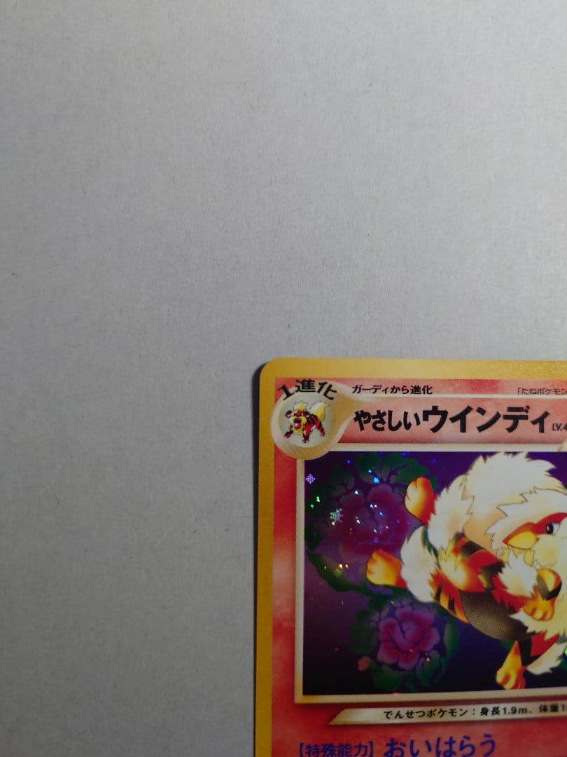 K*g様 やさしいウインディ 旧裏　ポケモンカード