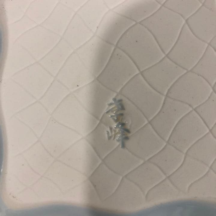 2人様セット☆小皿☆扇子型皿☆蓋つき丼