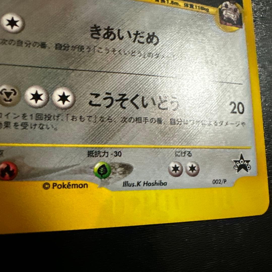 R団のハッサム トレーナーズ vol.12 PROMO eプロモ 002/P