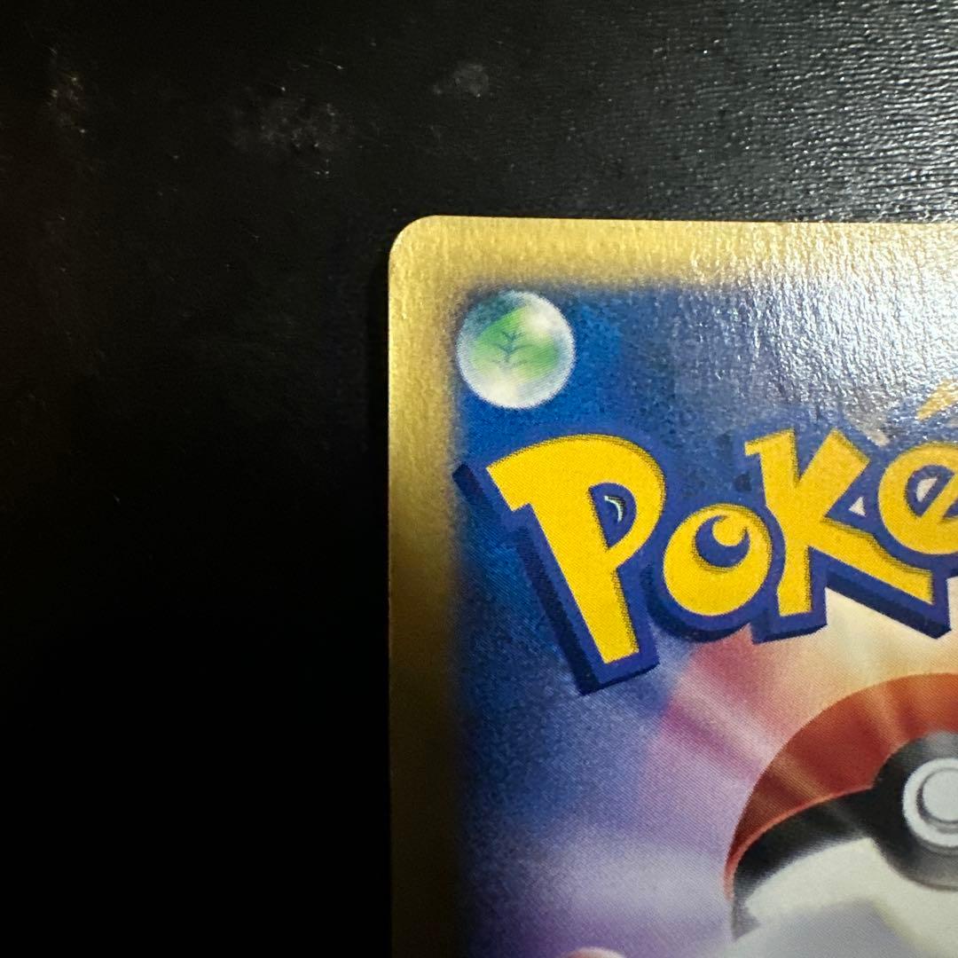 R団のハッサム トレーナーズ vol.12 PROMO eプロモ 002/P