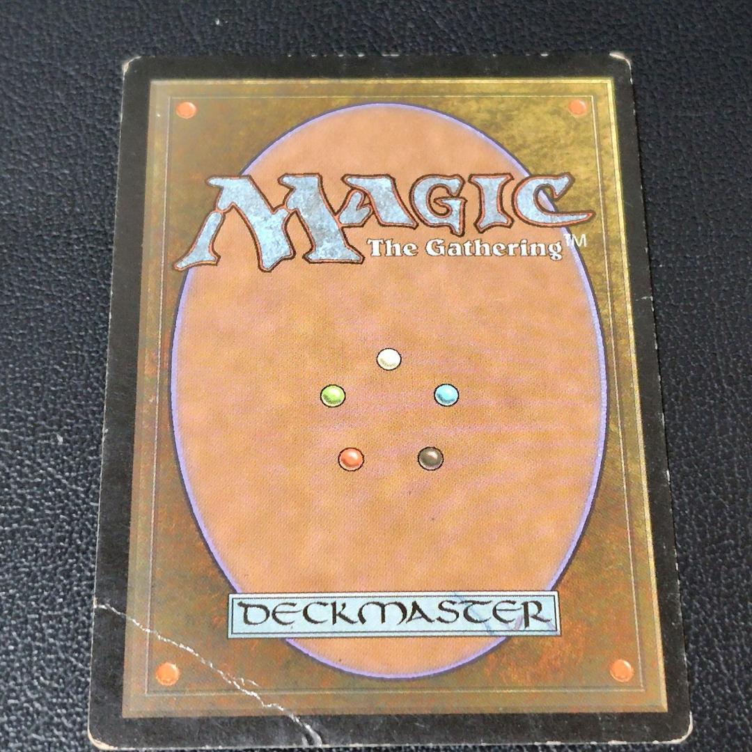 送料無料】MTG ゴブリンの従僕/Goblin Lackey 日本語 2枚 - メルカリ