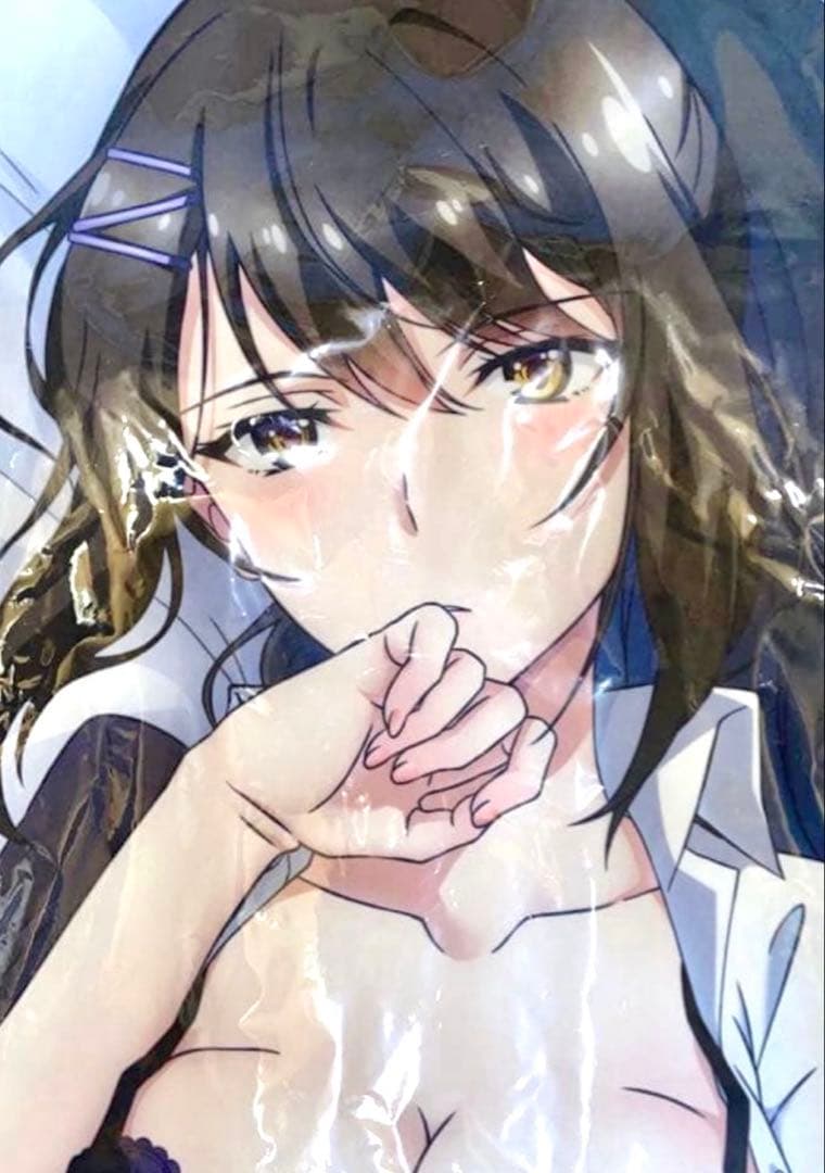 2WAYトリコット抱き枕カバー ようこそ実力至上主義の教室へ 茶柱佐枝