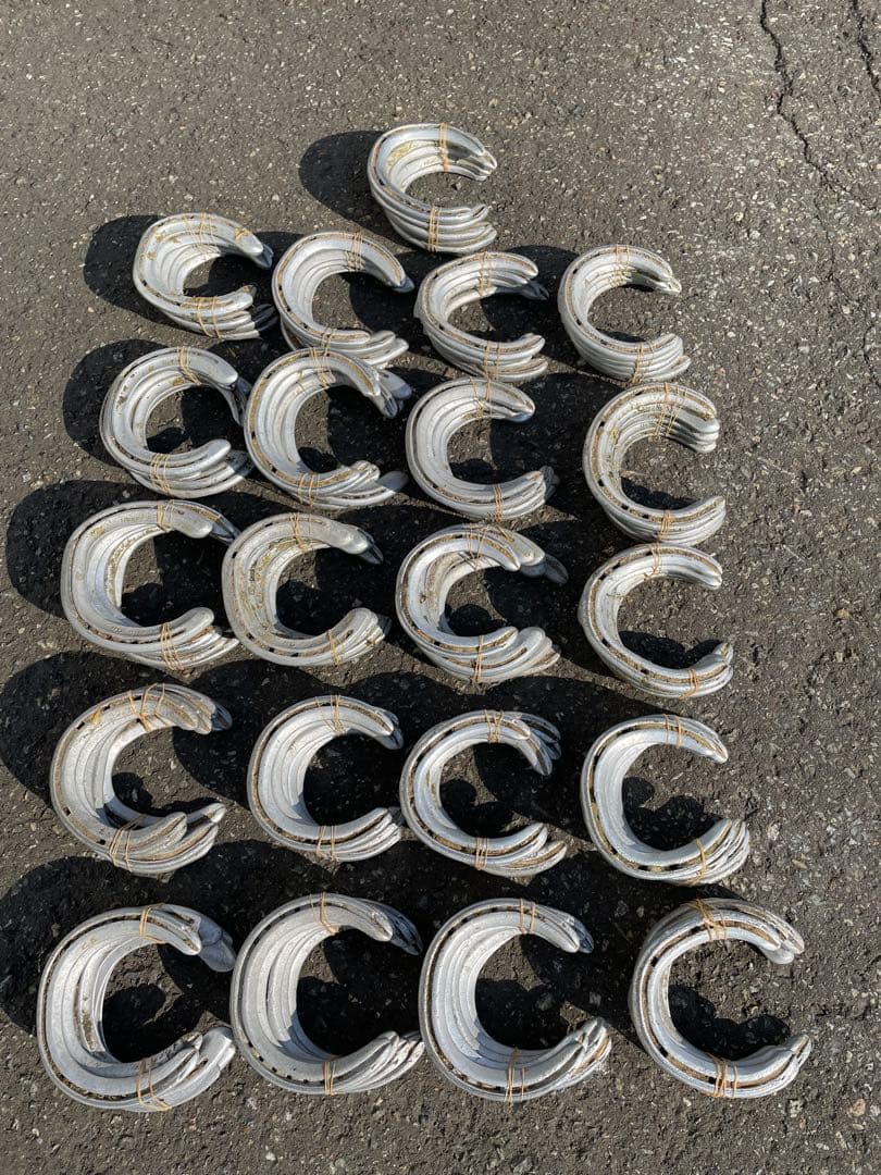 yoshiになりました他の方はご遠慮下さい 蹄鉄100個