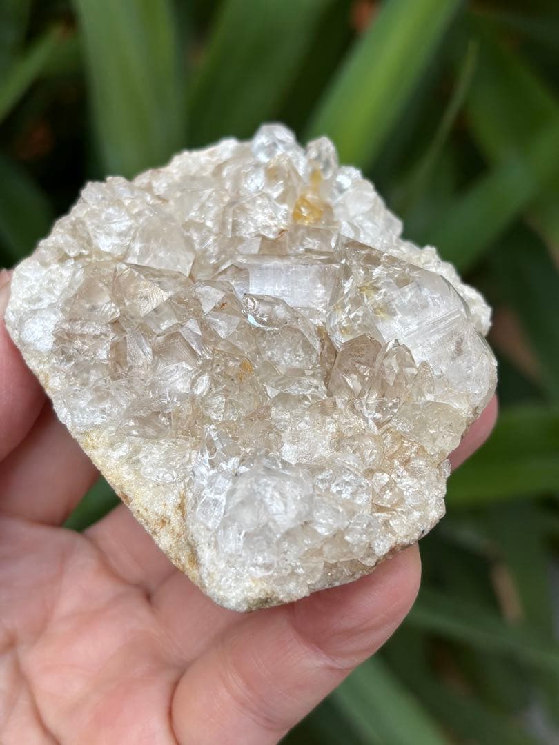 インド　メルー峰　シャークス・フィン　クラスター　希少　243g メルー水晶