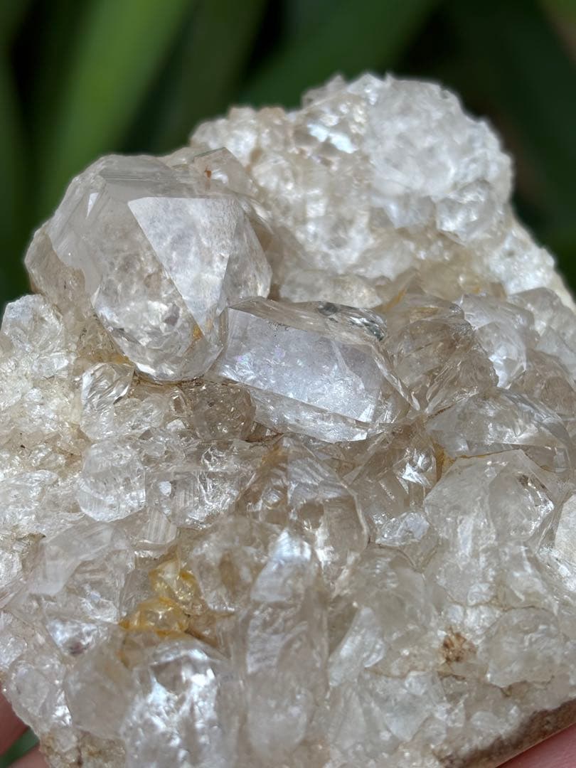 インド　メルー峰　シャークス・フィン　クラスター　希少　243g メルー水晶