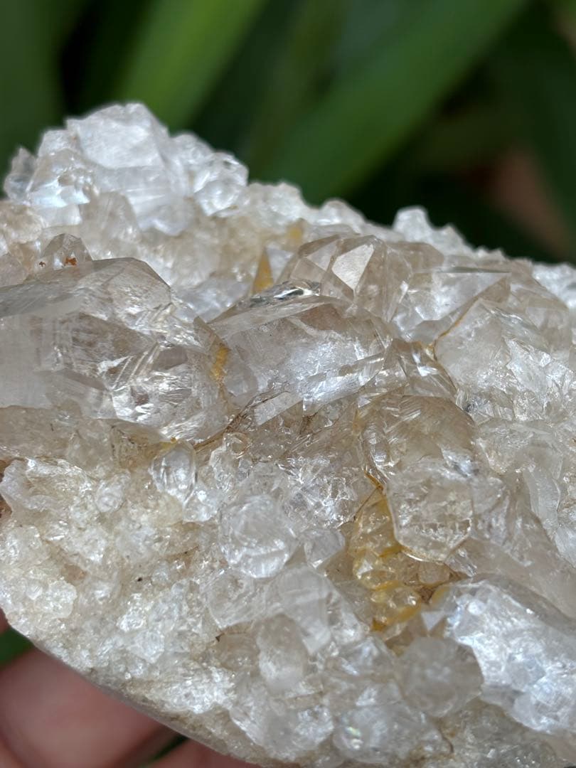 インド　メルー峰　シャークス・フィン　クラスター　希少　243g メルー水晶