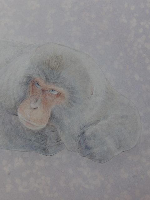 楚里清、【時（ゴリラ）】、希少な額装用画集画、新品高級額 額装付