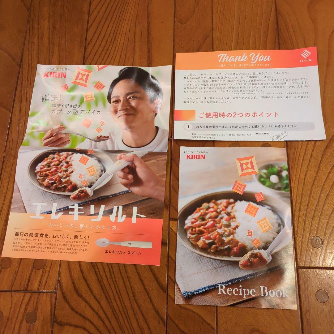 キリンエレキソルトスプーン＆休塩日のカレー レシピブック付き