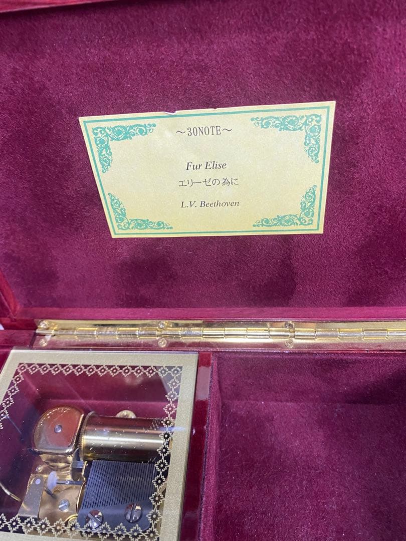 Fur Elise エリーゼの為に L.V. Beethoven