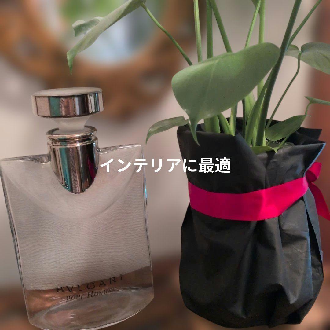 BVLGARI pour Homme クリスタルボトル