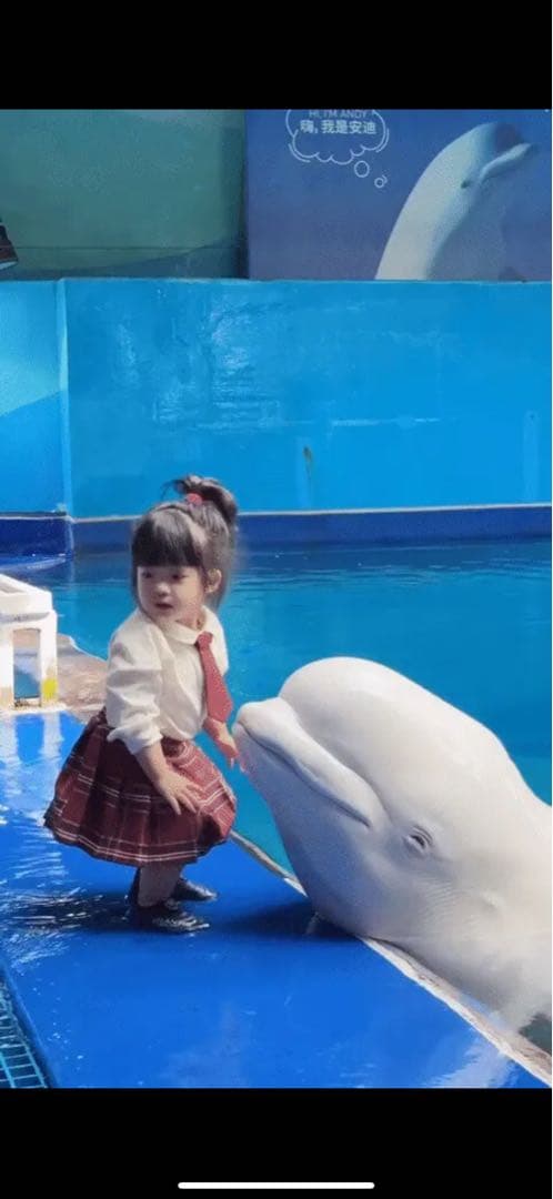 白い陶器のシロイルカの置物 , 陶芸家リュドミラ・アルヒポワ