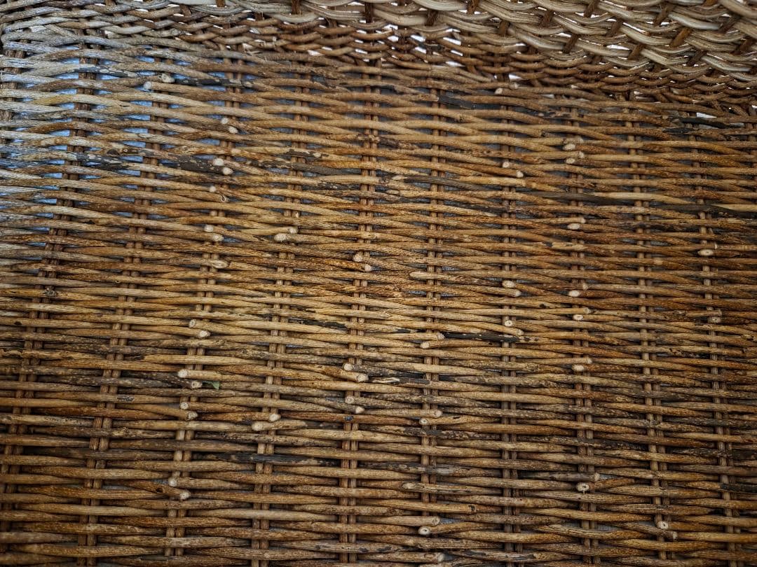 あけび 特大バスケット 宮本工芸購入 蓋なし　29×41cm