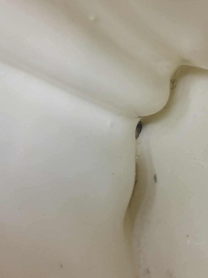 アニマルファクトリー社 ダルメシアン 置物 陶器 ジョージ B ランソン