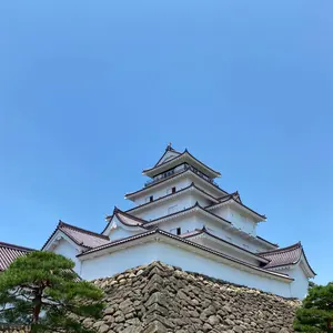 南こうせつ 伊勢正三 直筆サイン 色紙 2014年〈かぐや姫+風=ひめ風