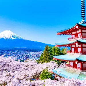 眼鏡エラー 希少】 帽子リーリエSR 英語PSA9 147/149メガネエラー