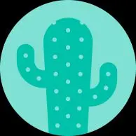 Morris Special W-35 ハードケース ストラップ ゴム式カポ付き - メルカリ